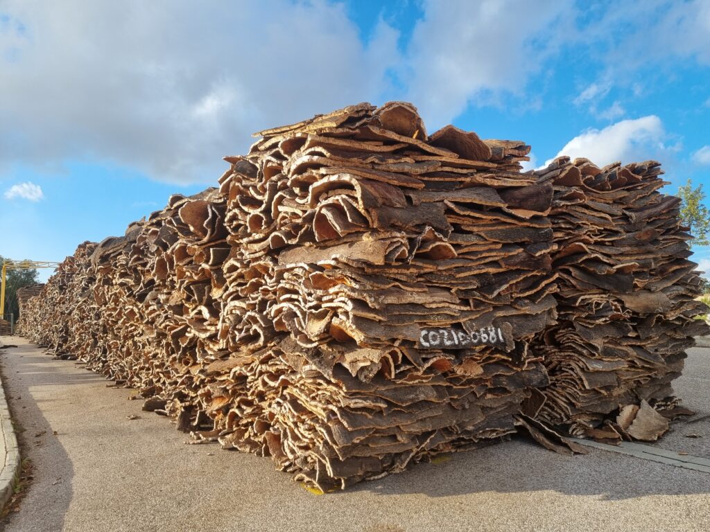 Kurkeik, Quercus suber, kurkplantage Portugal, kurkoogst, natuurlijk materiaal, kurkvloer, circulair, CO2 negatief, Corkeen