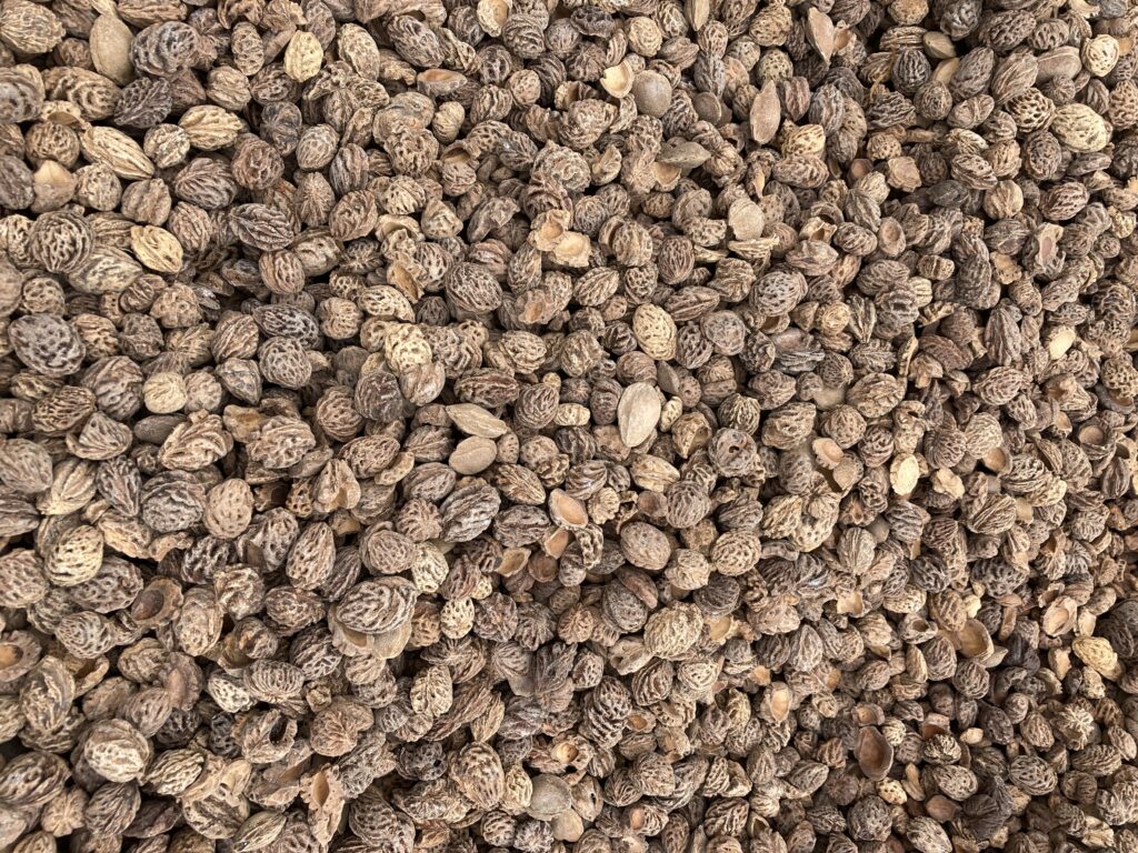 Perzikpitten voor valdemping speeltuin, perziksteen, valdempende ondergrond, speelplaats, HIC waarde, natuurlijk materiaal, 25 jaar levensduur, speelwaarde