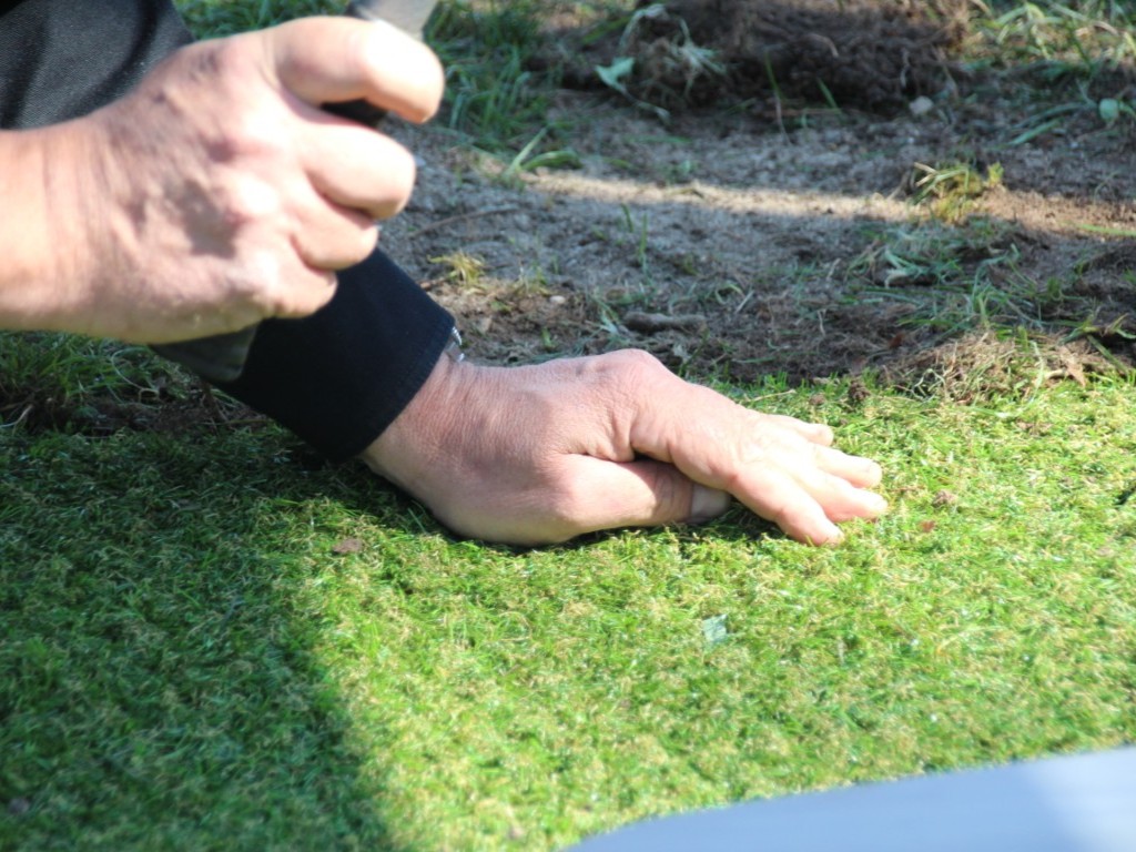 Doorgroeikunstgras, hybride kunstgras, doorgroei kunstgras, combinatie echt gras en kunstgras, recyclebaar kunstgras, groene speelplaats