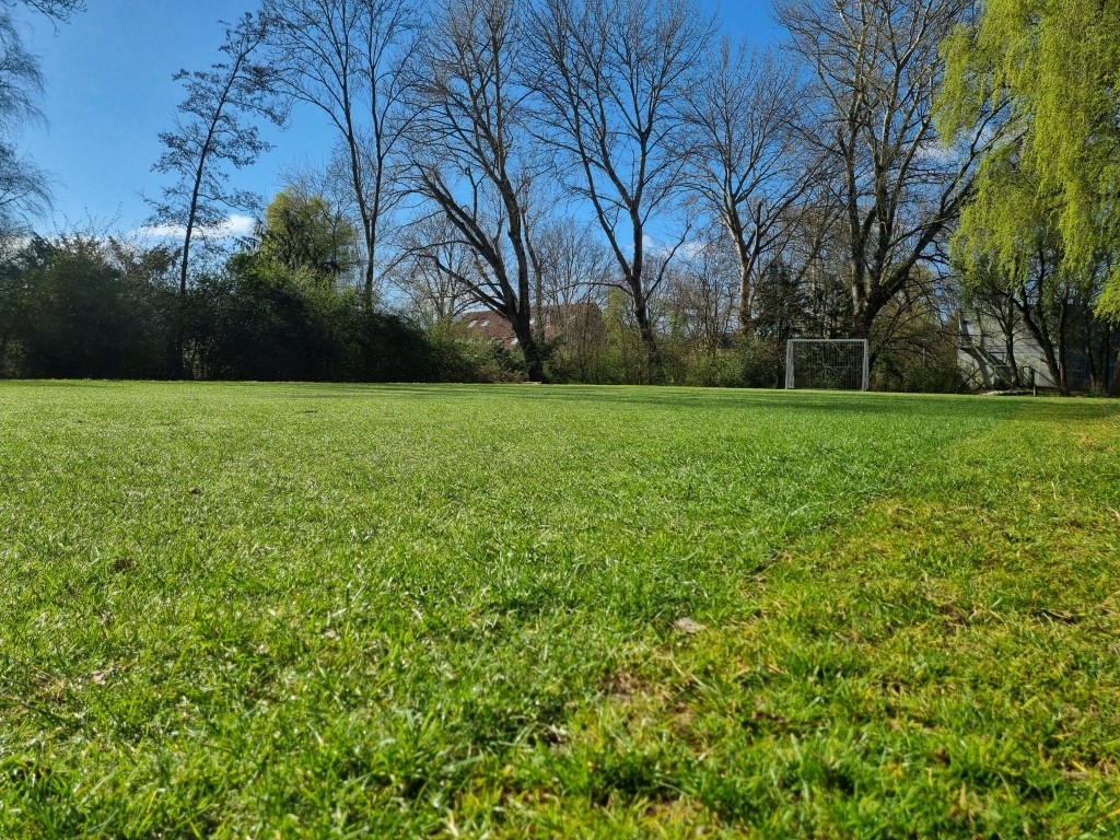 Doorgroeikunstgras, hybride kunstgras, doorgroei kunstgras, combinatie echt gras en kunstgras, recyclebaar kunstgras, groene speelplaats