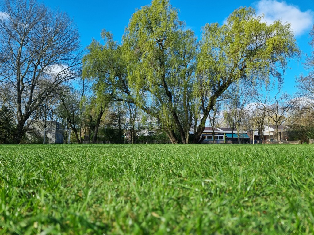 Doorgroeikunstgras, hybride kunstgras, doorgroei kunstgras, combinatie echt gras en kunstgras, recyclebaar kunstgras, groene speelplaats