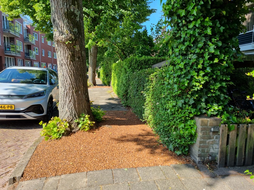 Boomspiegel gebonden verharding, perzikpit granulaat, perziksteen, waterdoorlatend, luchtdoorlatend, geen onkruid en zwerfafval, betere toegankelijkheid