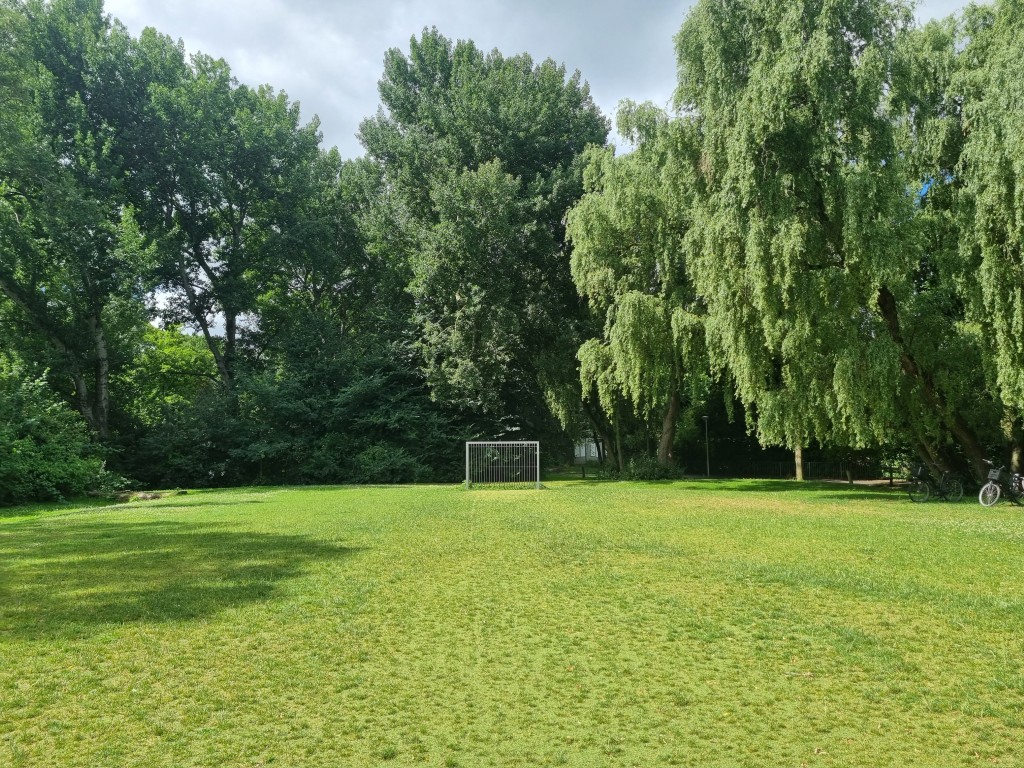 Doorgroeikunstgras, hybride kunstgras, doorgroei kunstgras, combinatie echt gras en kunstgras, recyclebaar kunstgras, groene speelplaats