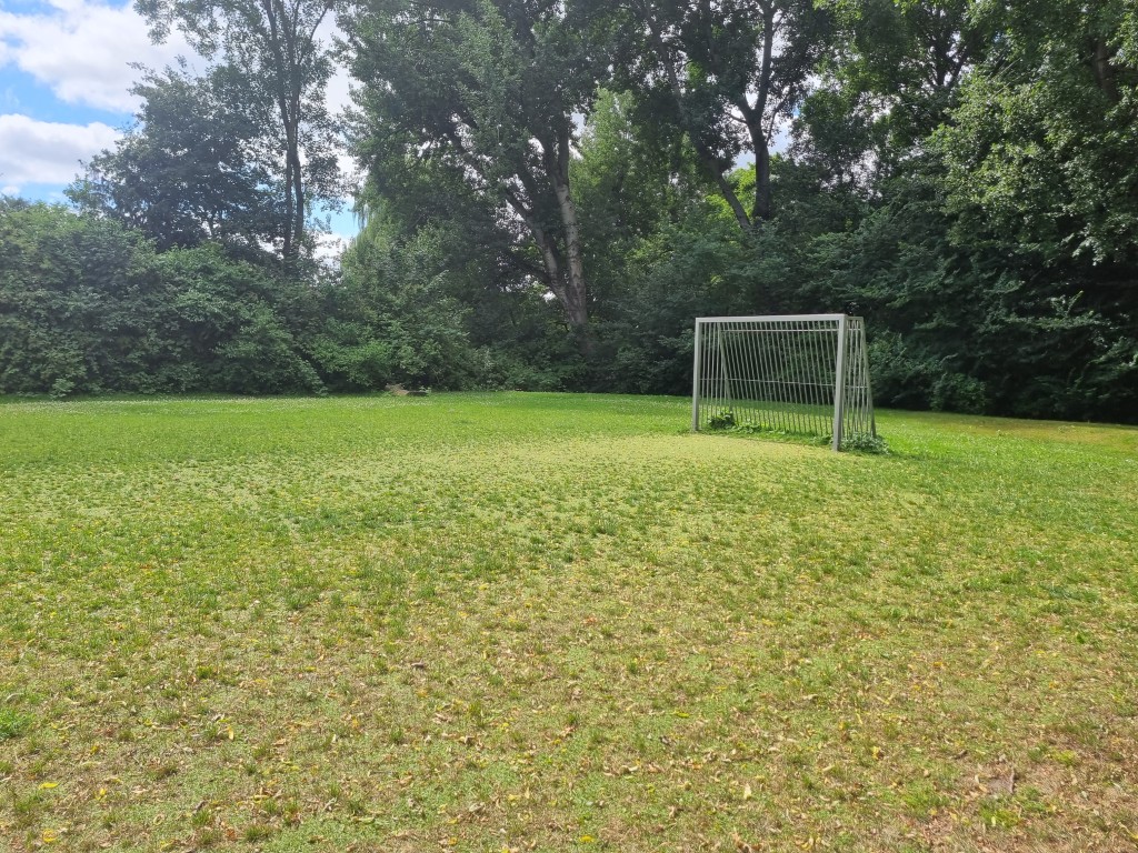 Doorgroeikunstgras, hybride kunstgras, doorgroei kunstgras, combinatie echt gras en kunstgras, recyclebaar kunstgras, groene speelplaats